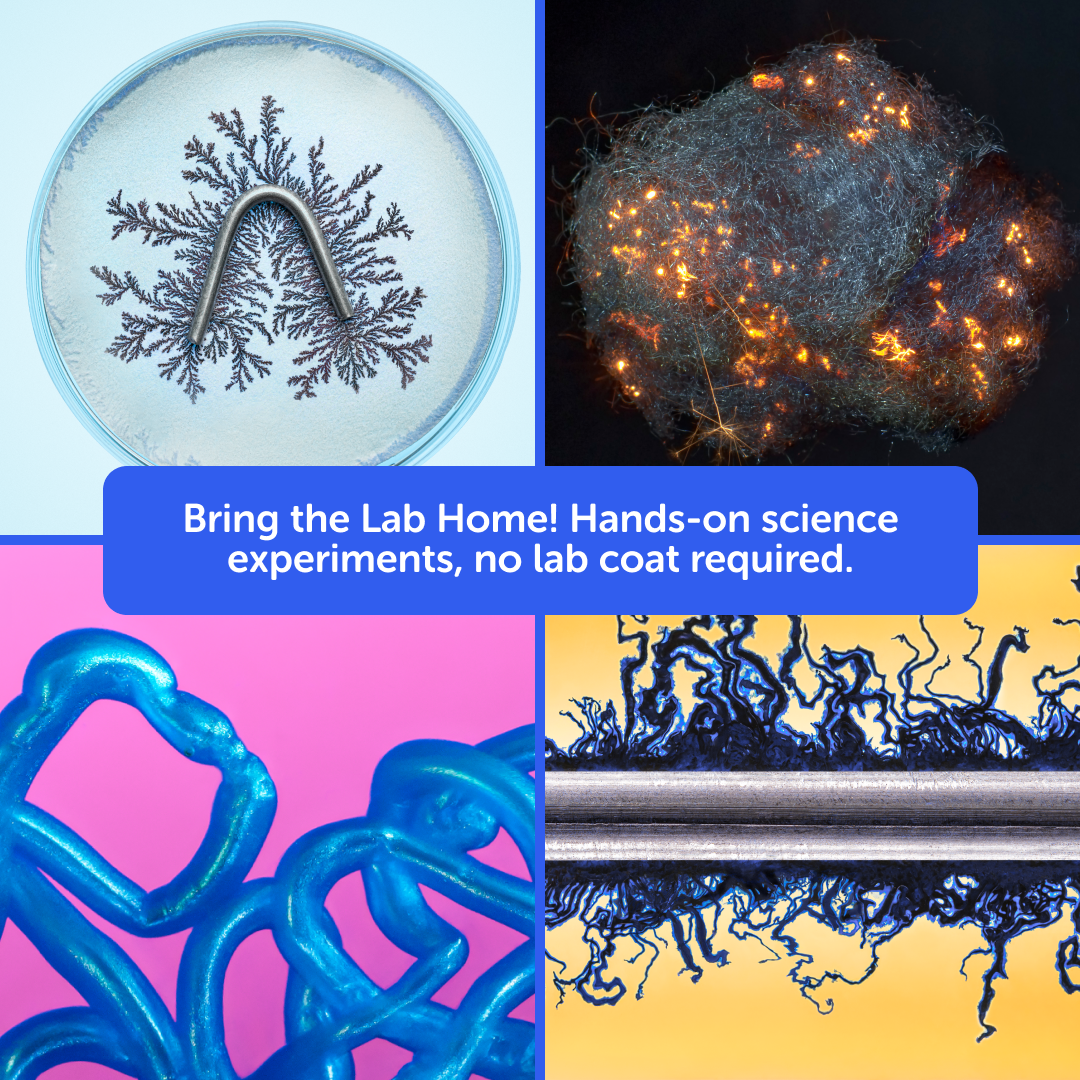 Indoor Junior Scientist Bundle — Ages 8–16+ (with online lessons library)